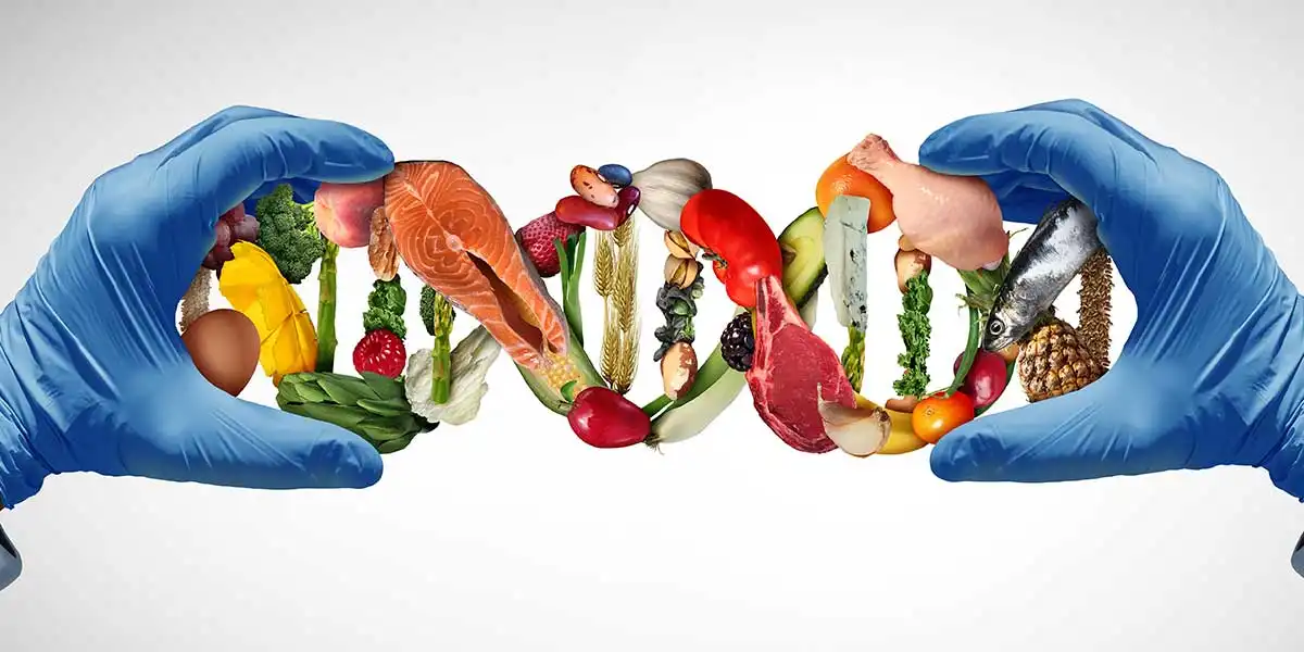 India’s Functional Food and Nutraceutical Market Gains Momentum